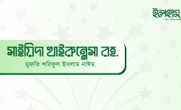 সাইয়িদা খাইরুন্নেসা রহ.